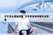 千牛怎么增加流量  千牛卖家如何提升浏览量