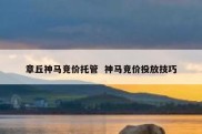 章丘神马竞价托管  神马竞价投放技巧
