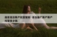南京竞价账户托管策划  竞价推广账户账户托管多少钱