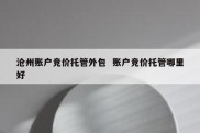 沧州账户竞价托管外包  账户竞价托管哪里好