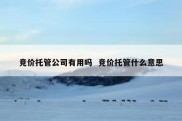 竞价托管公司有用吗  竞价托管什么意思