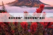 竞价托管推广（竞价托管推广竞价）