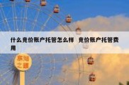 什么竞价账户托管怎么样  竞价账户托管费用