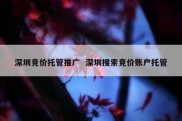 深圳竞价托管推广  深圳搜索竞价账户托管