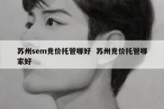 苏州sem竞价托管哪好  苏州竞价托管哪家好
