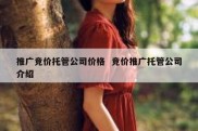 推广竞价托管公司价格  竞价推广托管公司介绍