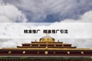 精准推广  精准推广引流
