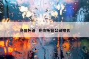 竞价托管  竞价托管公司排名