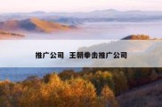 推广公司  王朝拳击推广公司