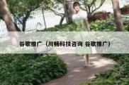 谷歌推广（川畅科技咨询 谷歌推广）