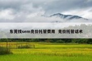 东莞找sem竞价托管费用  竞价托管话术
