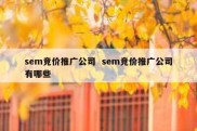 sem竞价推广公司  sem竞价推广公司有哪些