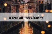 推易电商运营（推易电商怎么样）