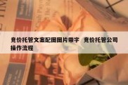 竞价托管文案配图图片带字  竞价托管公司操作流程