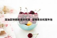 深汕区特色的竞价托管  深圳竞价托管外包