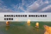 郑州托管公司竞价托管  郑州托管公司竞价托管费用