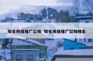 知名网络推广公司  知名网络推广公司排名