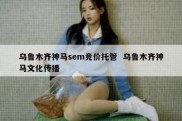 乌鲁木齐神马sem竞价托管  乌鲁木齐神马文化传播