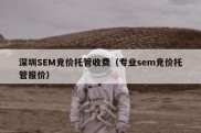 深圳SEM竞价托管收费（专业sem竞价托管报价）