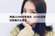 铁路12306托管竞价  12306买票托管是什么意思