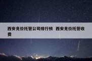 西安竞价托管公司排行榜  西安竞价托管收费
