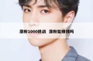 涨粉1000挑战  涨粉能赚钱吗