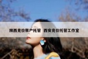 陕西竞价账户托管  西安竞价托管工作室