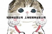 短视频运营公司  上海短视频运营公司