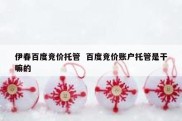 伊春百度竞价托管  百度竞价账户托管是干嘛的