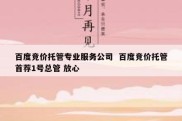 百度竞价托管专业服务公司  百度竞价托管首荐1号总管 放心