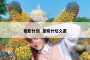 涨粉计划  涨粉计划文案