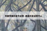 天鼎传媒抖音代运营  鼎盛抖音运营中心