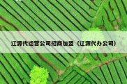辽源代运营公司招商加盟（辽源代办公司）