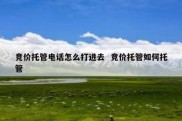 竞价托管电话怎么打进去  竞价托管如何托管