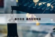 暴力引流  暴力引流项目