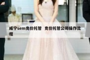咸宁sem竞价托管  竞价托管公司操作流程