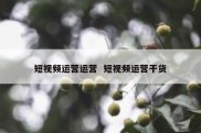 短视频运营运营  短视频运营干货