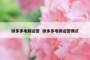 拼多多电商运营  拼多多电商运营模式