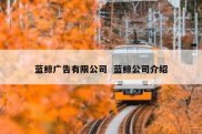 蓝鲸广告有限公司  蓝鲸公司介绍