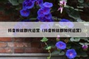 抖音粉丝群代运营（抖音粉丝群如何运营）