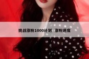 挑战涨粉1000计划  涨粉速度