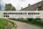 湖北口碑好的竞价托管公司  最好的竞价托管费用