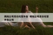 揭阳公司竞价托管外包  揭阳公司竞价托管外包公司