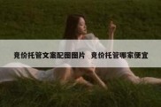 竞价托管文案配图图片  竞价托管哪家便宜