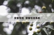 获客引流  获客引流系统