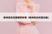 郑州竞价托管哪家好用（郑州竞价托管价格）