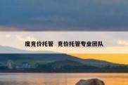 度竞价托管  竞价托管专业团队