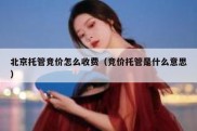 北京托管竞价怎么收费（竞价托管是什么意思）