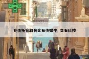竞价托管取舍奕石传媒牛  奕石科技