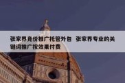 张家界竞价推广托管外包  张家界专业的关键词推广按效果付费